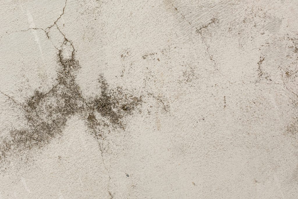 Mold