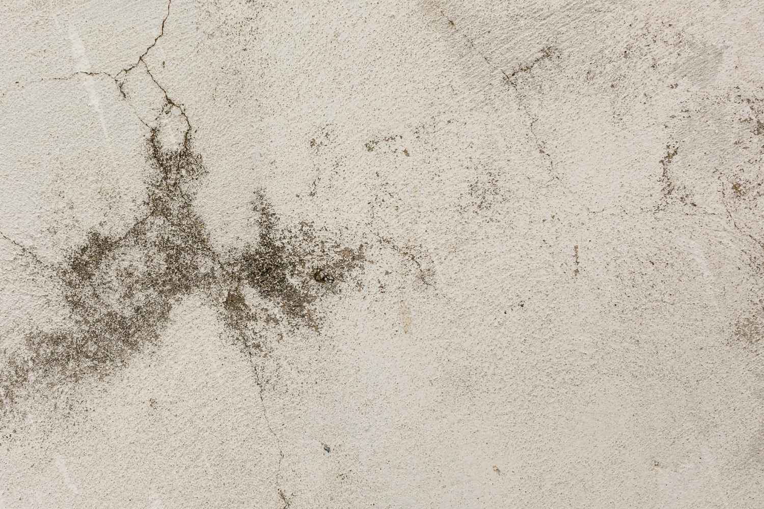 Mold