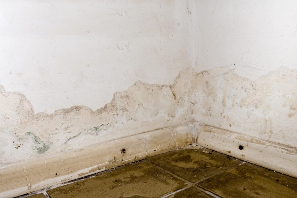 Water Damage