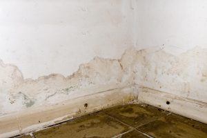 Water Damage