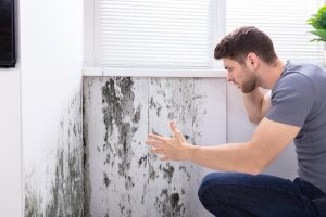 Mold