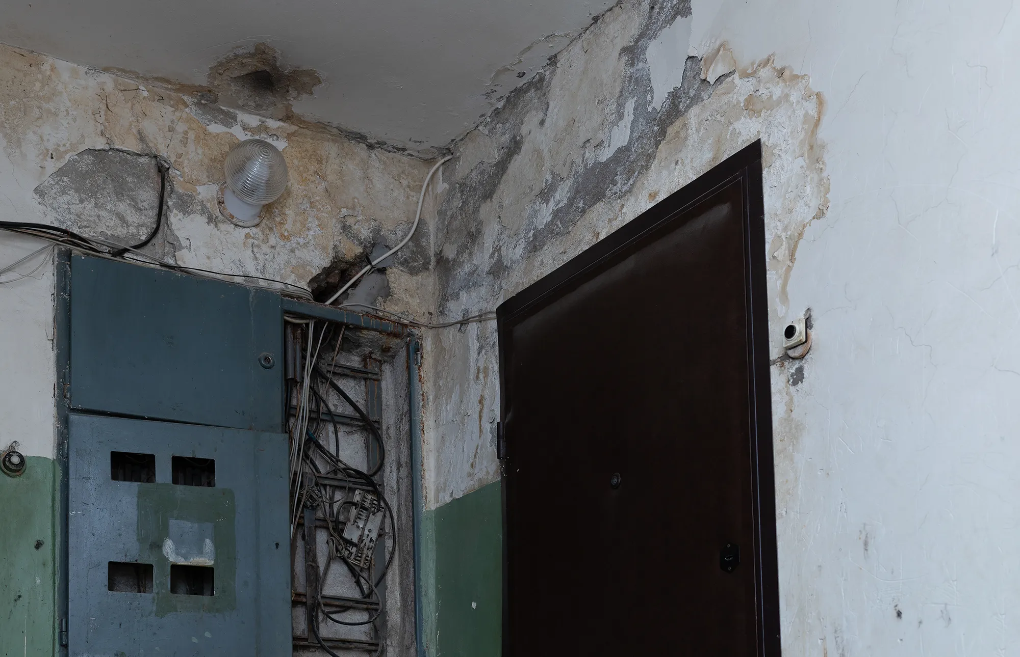 Mold Remediation Services