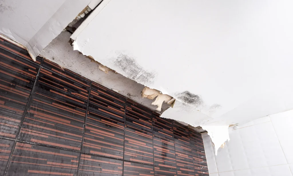 ceiling water damage