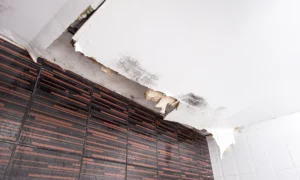 ceiling water damage