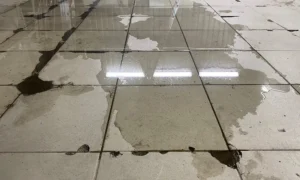 wet floor damage
