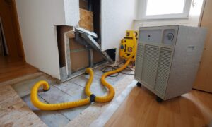 Top-Rated Water Damage Restoration Company in Mukilteo, WA