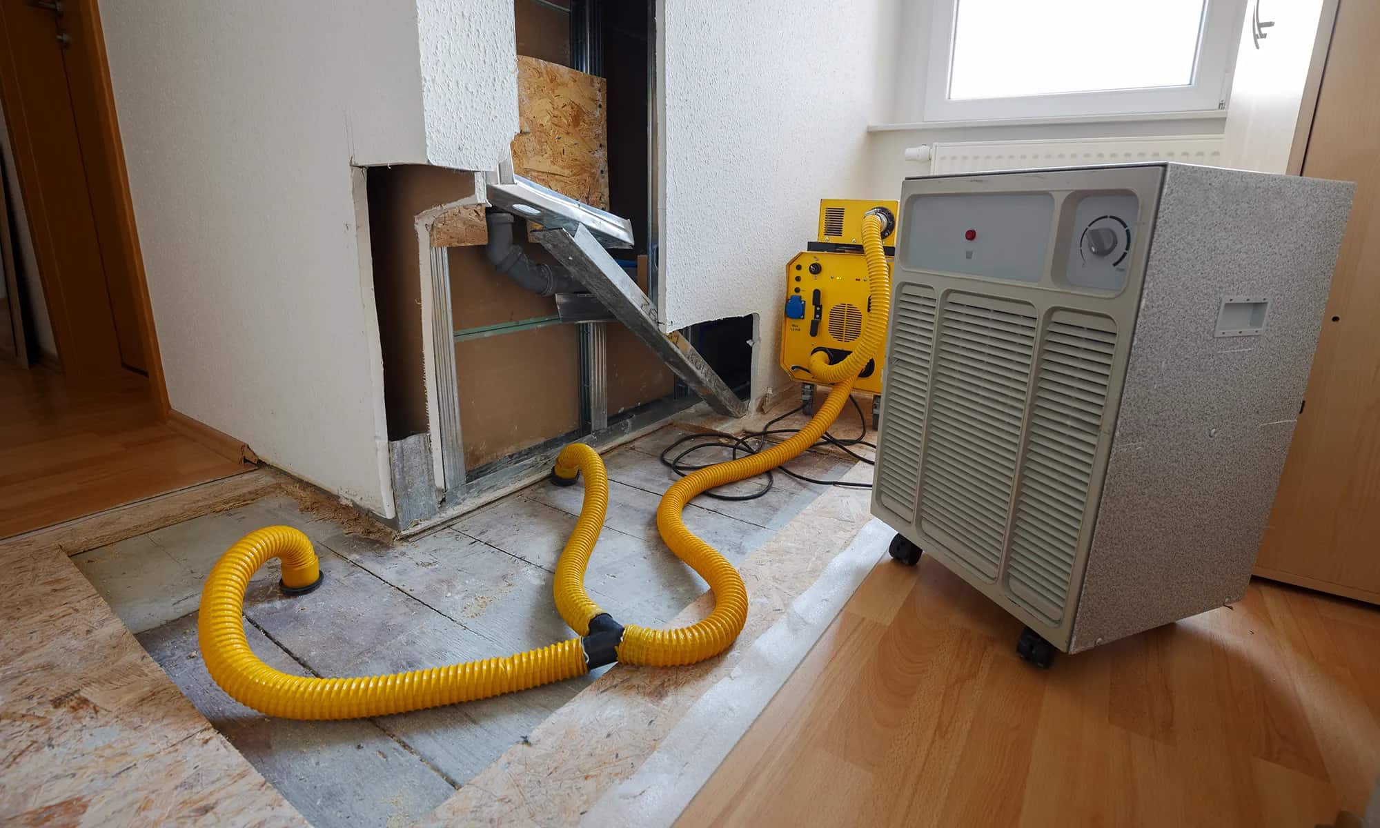 Top-Rated Water Damage Restoration Company in Mukilteo, WA